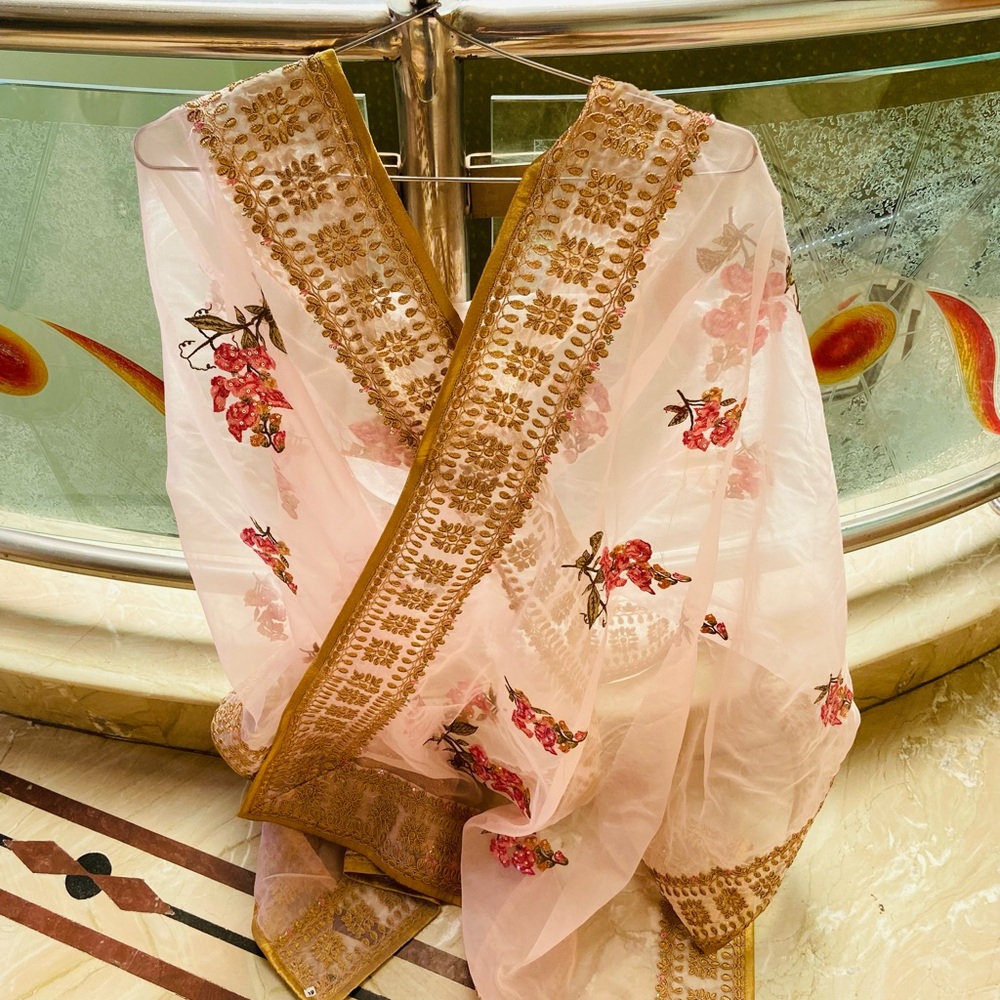 Designer organza suit - Picture 2 of 7